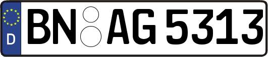 BN-AG5313