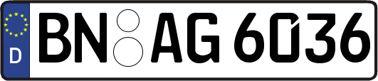 BN-AG6036