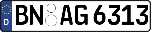 BN-AG6313