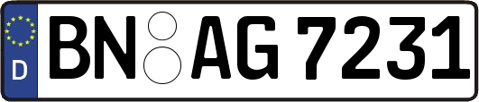 BN-AG7231