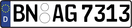 BN-AG7313