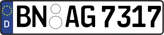 BN-AG7317