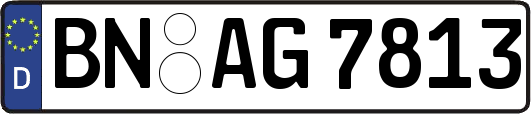 BN-AG7813