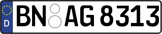 BN-AG8313
