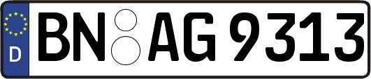 BN-AG9313