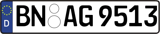 BN-AG9513