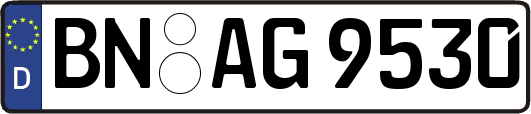 BN-AG9530