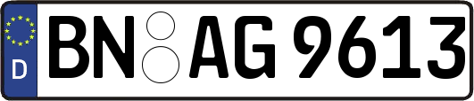 BN-AG9613