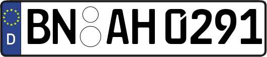 BN-AH0291