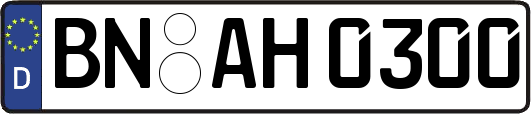 BN-AH0300