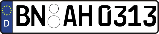 BN-AH0313