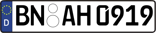 BN-AH0919