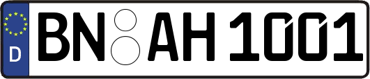 BN-AH1001