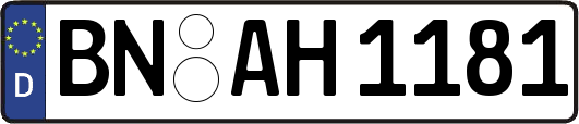 BN-AH1181