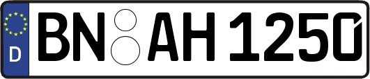BN-AH1250