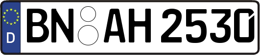 BN-AH2530