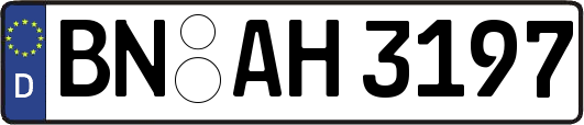 BN-AH3197