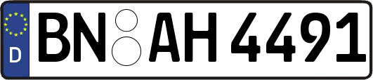 BN-AH4491