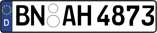BN-AH4873
