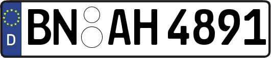 BN-AH4891