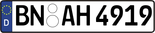 BN-AH4919