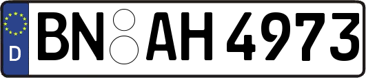 BN-AH4973