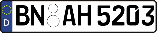 BN-AH5203
