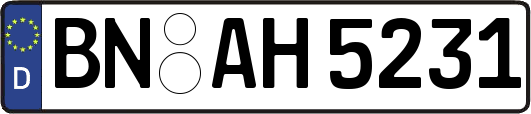 BN-AH5231