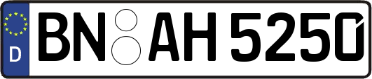 BN-AH5250