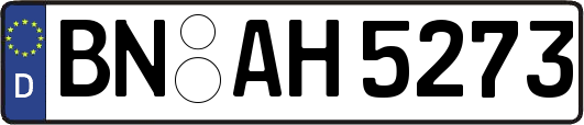 BN-AH5273