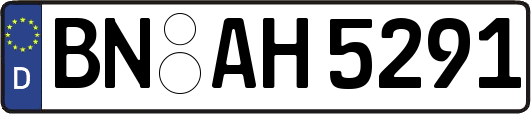 BN-AH5291