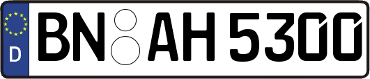 BN-AH5300