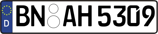 BN-AH5309