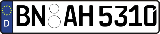 BN-AH5310