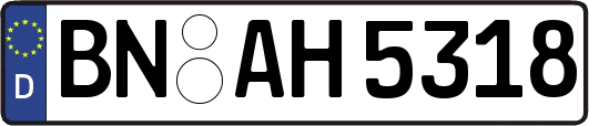 BN-AH5318
