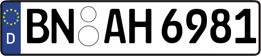 BN-AH6981