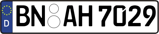 BN-AH7029