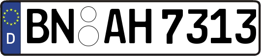 BN-AH7313