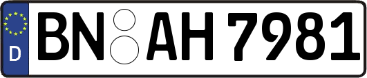 BN-AH7981