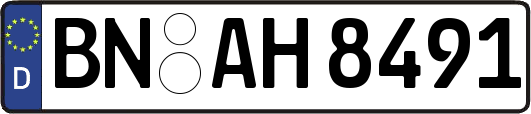 BN-AH8491
