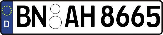 BN-AH8665