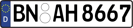 BN-AH8667