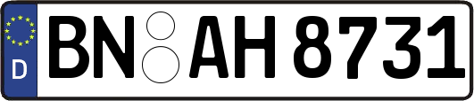 BN-AH8731