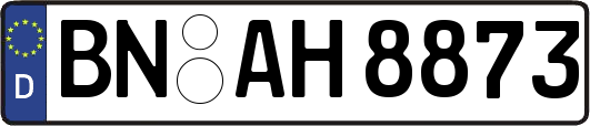 BN-AH8873