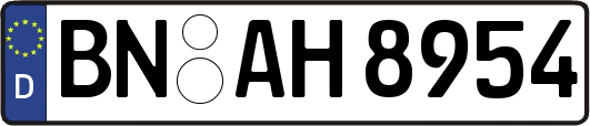BN-AH8954