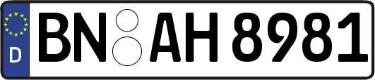 BN-AH8981