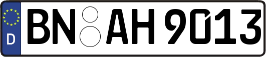 BN-AH9013