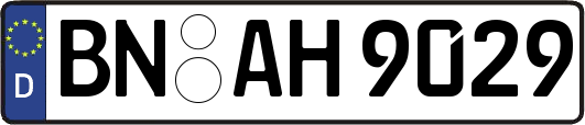 BN-AH9029