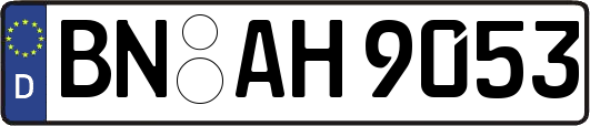 BN-AH9053