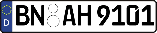 BN-AH9101